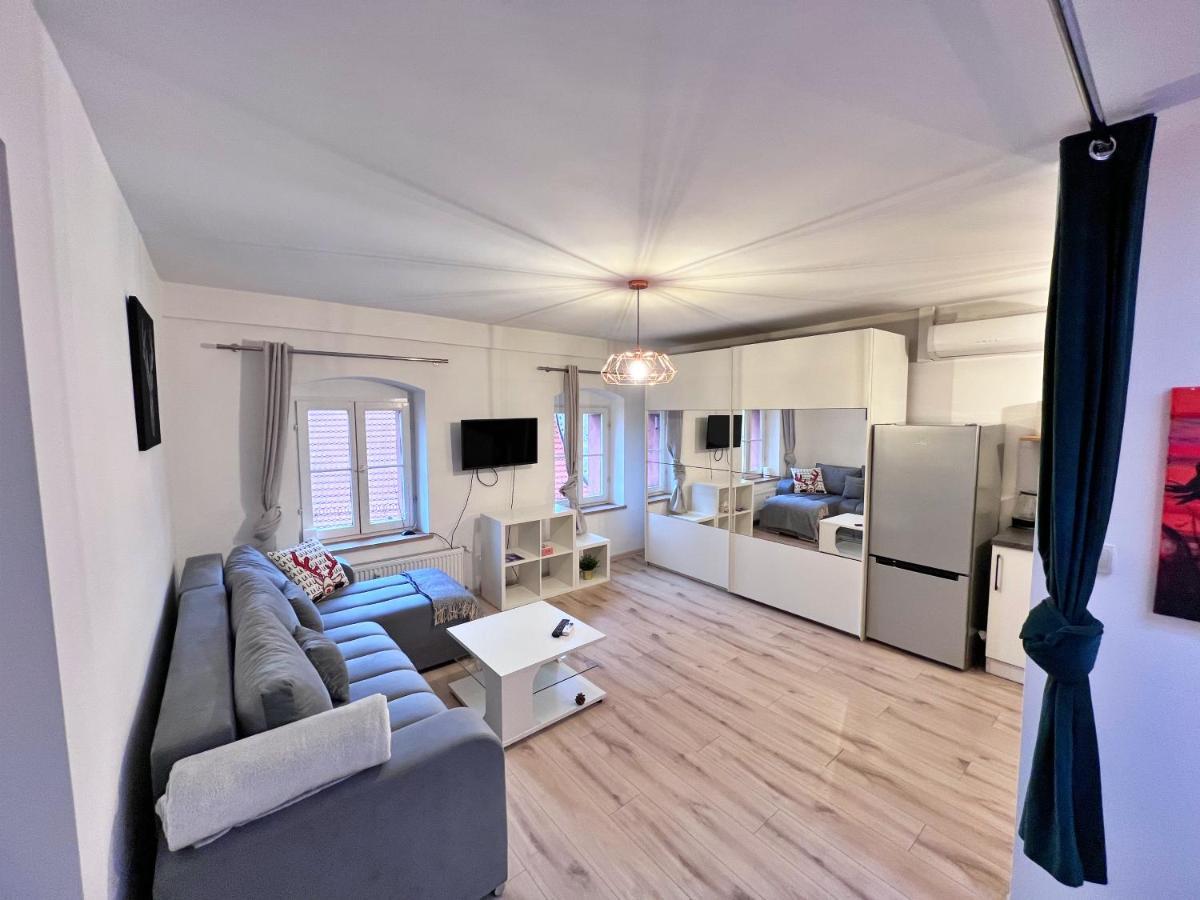 Apartament W Samym Centrum Jeleniej Gory Jelenia Gora Dış mekan fotoğraf
